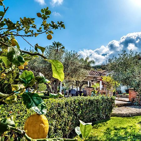 B&B Villa Bency Capo dʼOrlando Kültér fotó