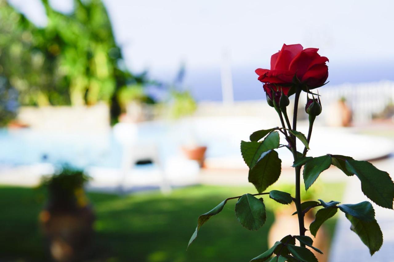B&B Villa Bency Capo dʼOrlando Kültér fotó